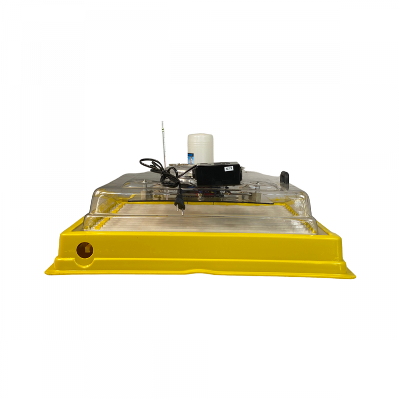 Chocadeira Automática 100 Ovos – Controle Digital