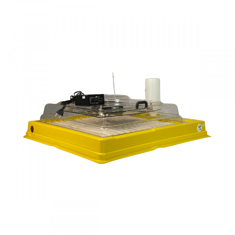 Chocadeira Automática 100 Ovos – Controle Digital